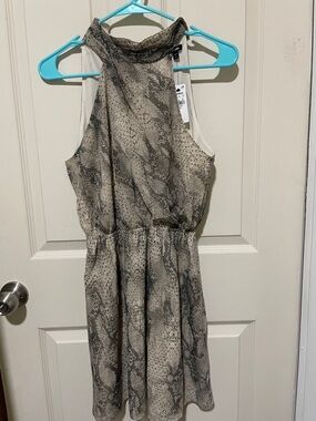 Express Sleeveless Snake Print Halter Dress in Grey and Cream